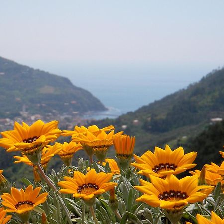 L'Antico Borgo B&B Levanto Exterior photo