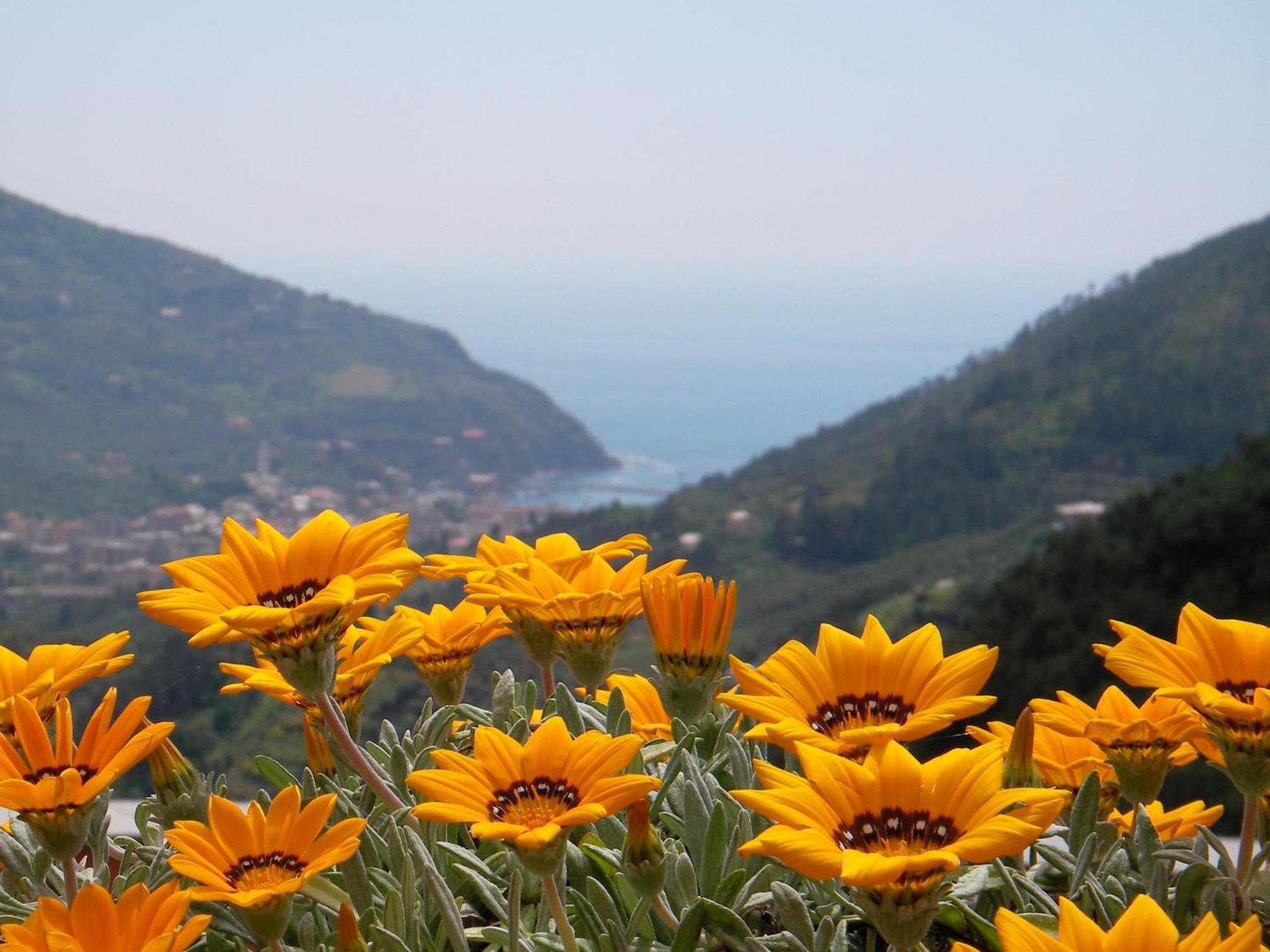 L'Antico Borgo B&B Levanto Exterior photo