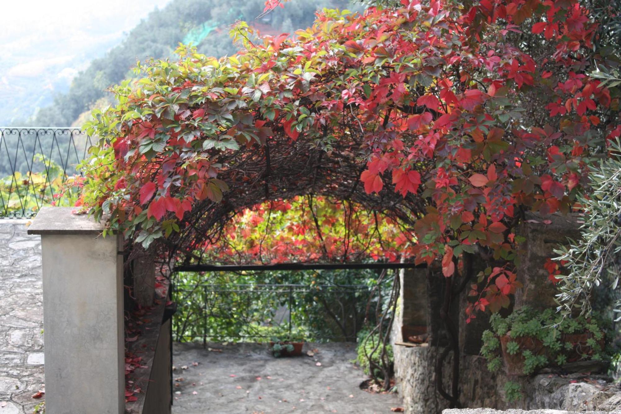 L'Antico Borgo B&B Levanto Exterior photo